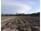 3502 Bundaberg Gin Gin Road, Bullyard QLD 4671