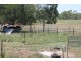 69 Hofstetters Road, Morganville QLD 4671