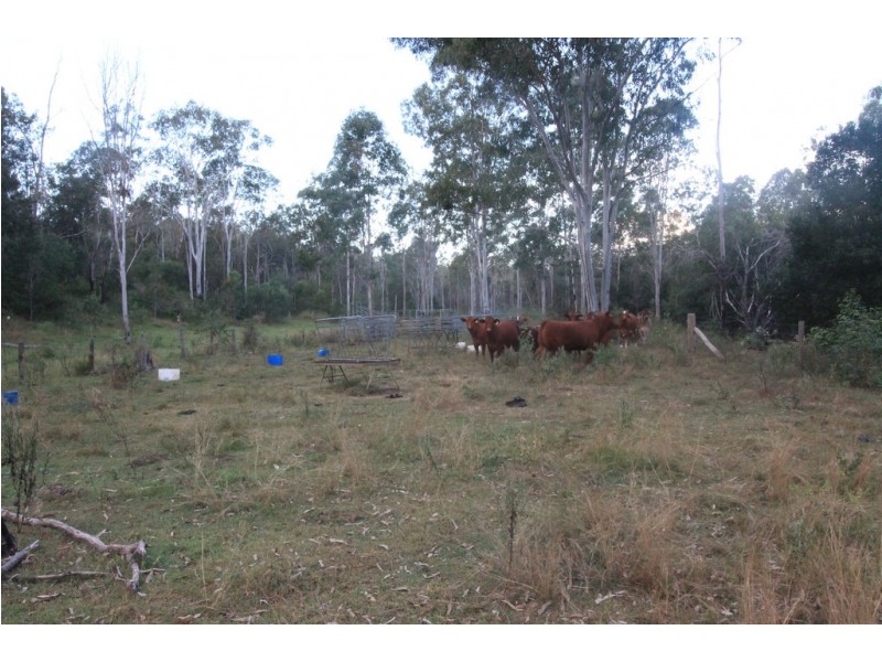 Horse Camp QLD 4671