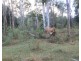249 Stronachs Road, Wallaville QLD 4671
