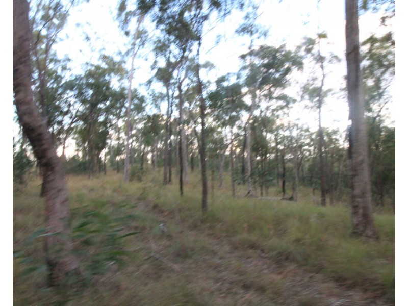 249 Stronachs Road, Wallaville QLD 4671
