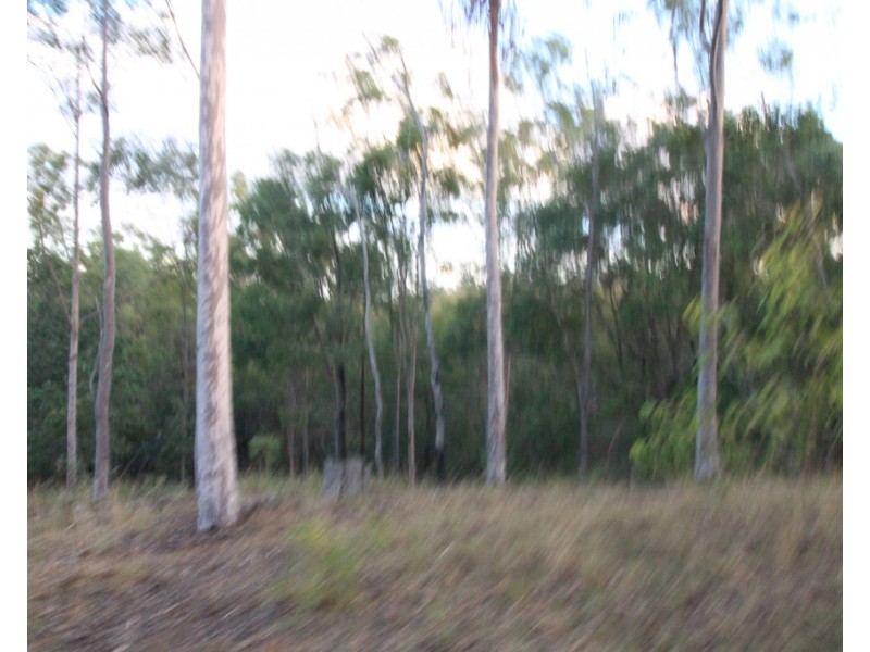 249 Stronachs Road, Wallaville QLD 4671