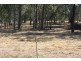 38 Munro Court, Mcilwraith QLD 4671