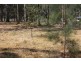 38 Munro Court, Mcilwraith QLD 4671