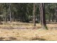 38 Munro Court, Mcilwraith QLD 4671