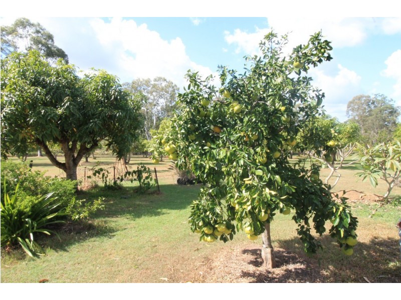 95 Monduran Road, Yandaran QLD 4673