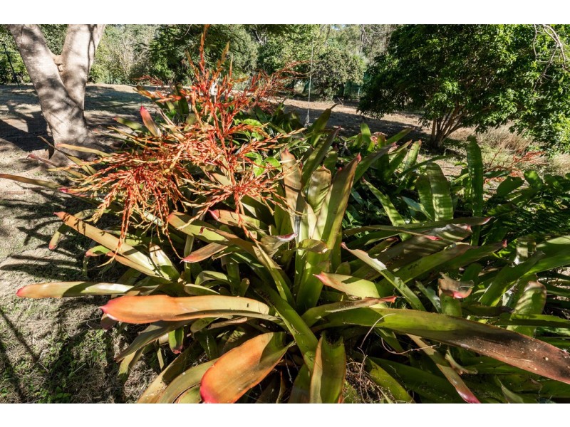 35 Hilltop Road, New Moonta QLD 4671