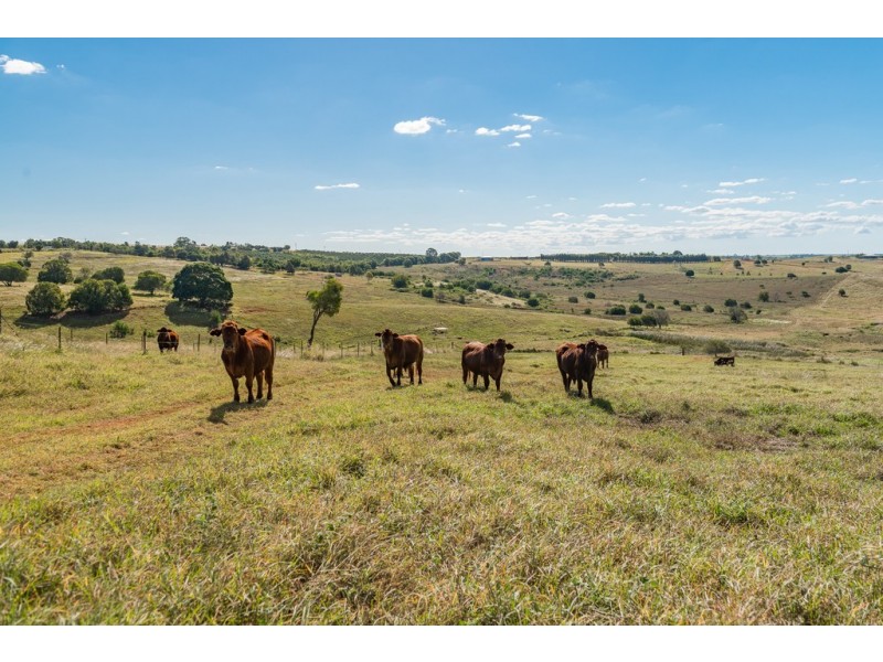 286 Huxley Road, North Isis QLD 4660