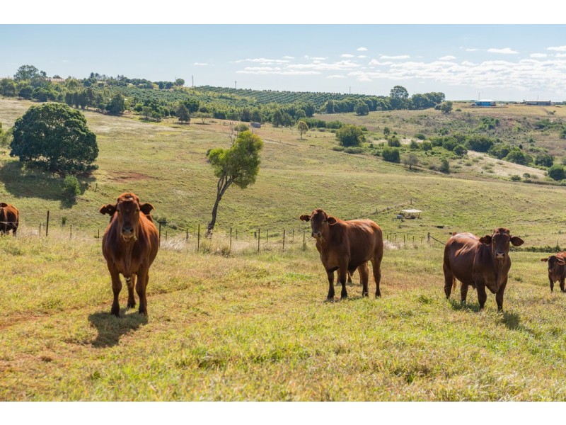 286 Huxley Road, North Isis QLD 4660