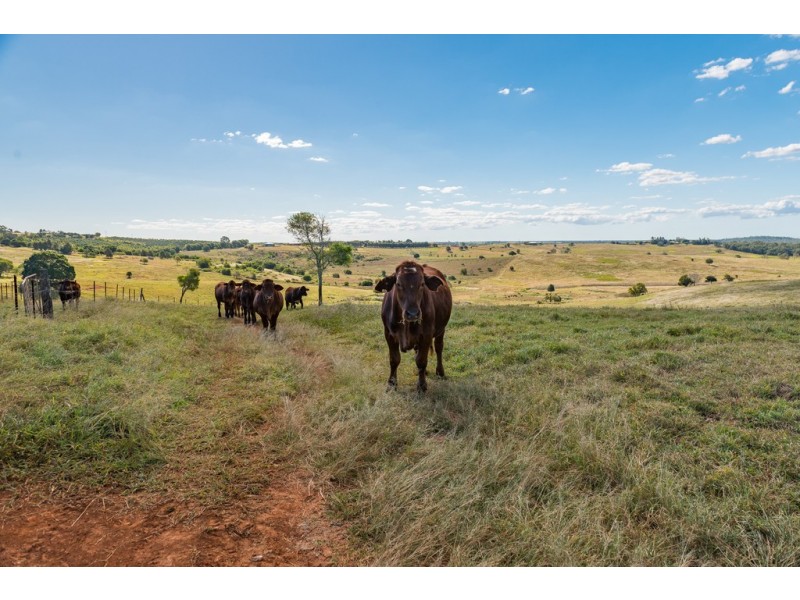 286 Huxley Road, North Isis QLD 4660