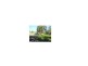 Lot 203 Chisholms Road, Gin Gin QLD 4671
