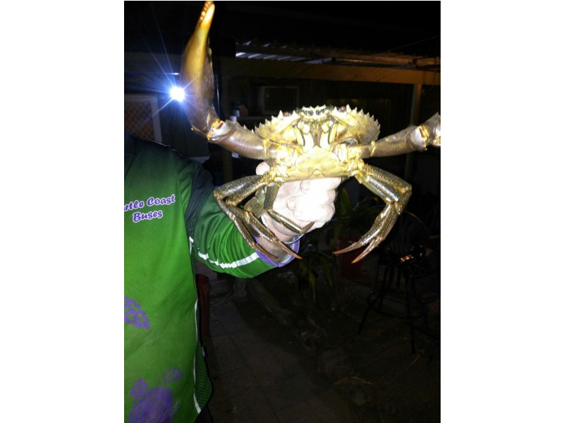 Yandaran QLD 4673