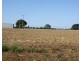 233 Back Springfield Road, Woongarra QLD 4670