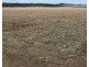 233 Back Springfield Road, Woongarra QLD 4670