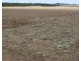 233 Back Springfield Road, Woongarra QLD 4670