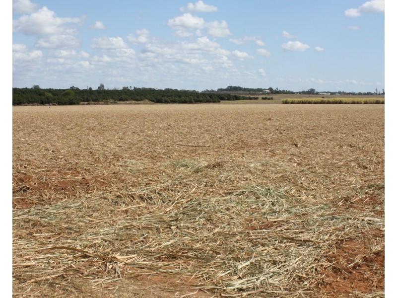 233 Back Springfield Road, Woongarra QLD 4670