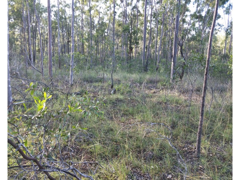 23 Denny Court, Yandaran QLD 4673