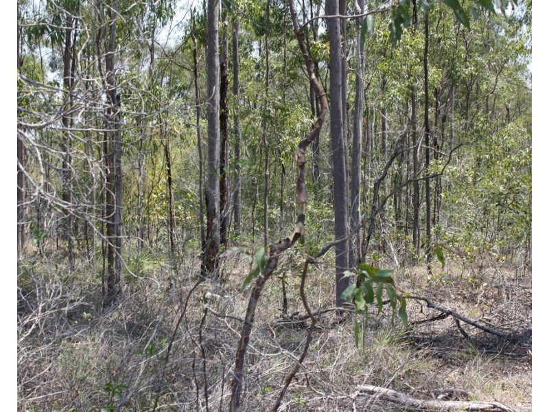 23 Denny Court, Yandaran QLD 4673