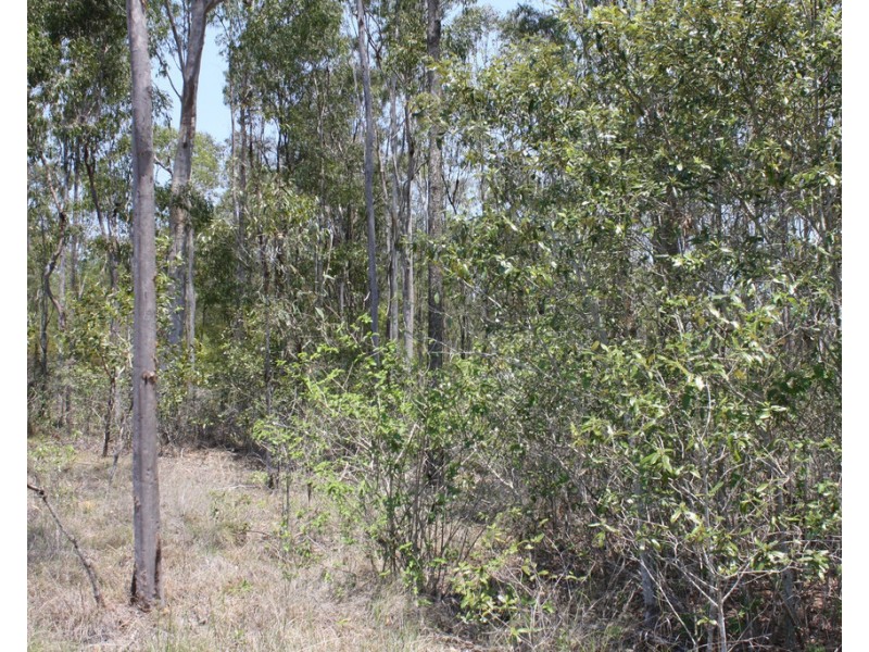 23 Denny Court, Yandaran QLD 4673