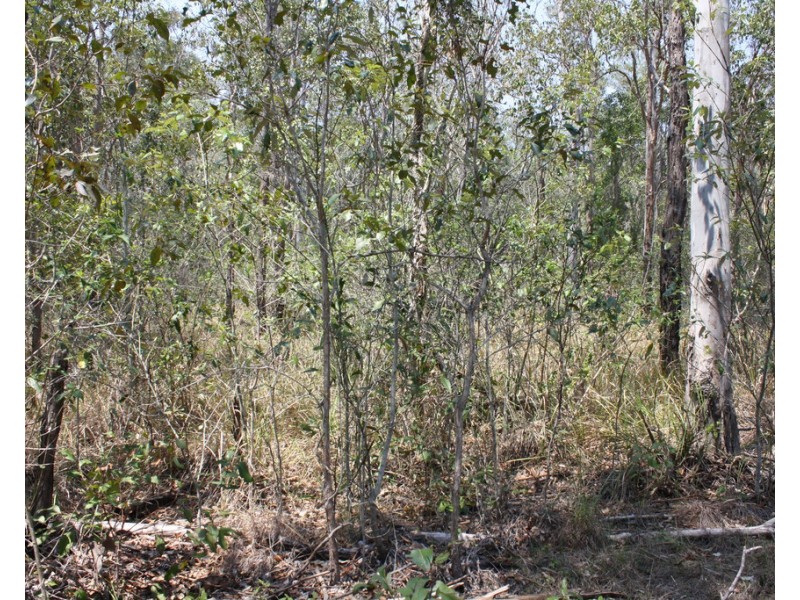 23 Denny Court, Yandaran QLD 4673