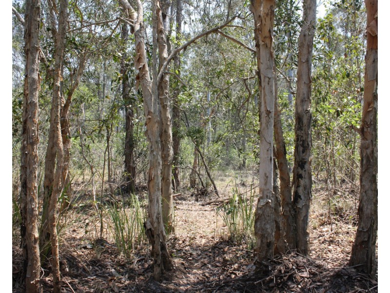 23 Denny Court, Yandaran QLD 4673