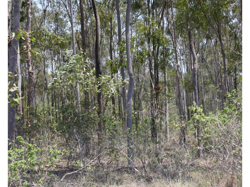 23 Denny Court, Yandaran QLD 4673