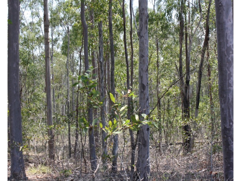 23 Denny Court, Yandaran QLD 4673