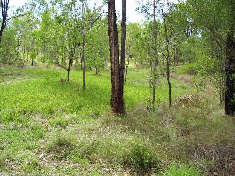 Lot 44 Gin Gin-Mount Perry Road, Wonbah QLD 4671