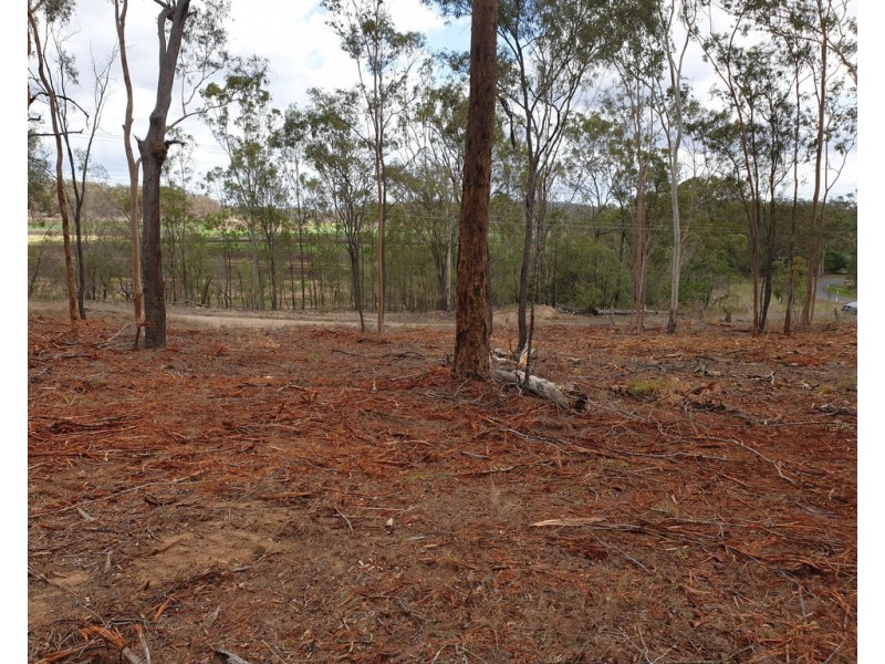 Lot 54 River Pines Drive, Delan QLD 4671