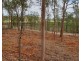 Lot 54 River Pines Drive, Delan QLD 4671