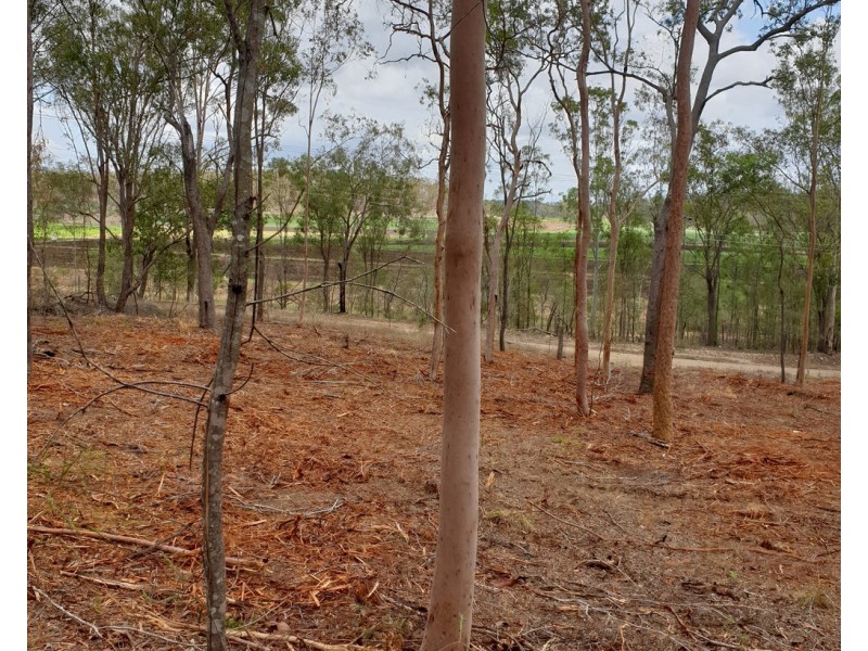 Lot 54 River Pines Drive, Delan QLD 4671