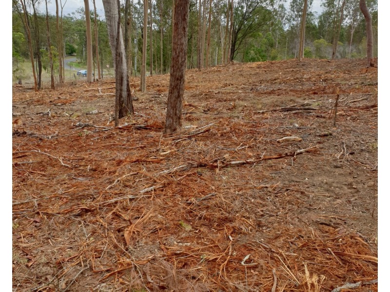 Lot 54 River Pines Drive, Delan QLD 4671