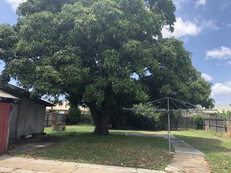 66 Princess Street, Bundaberg East QLD 4670