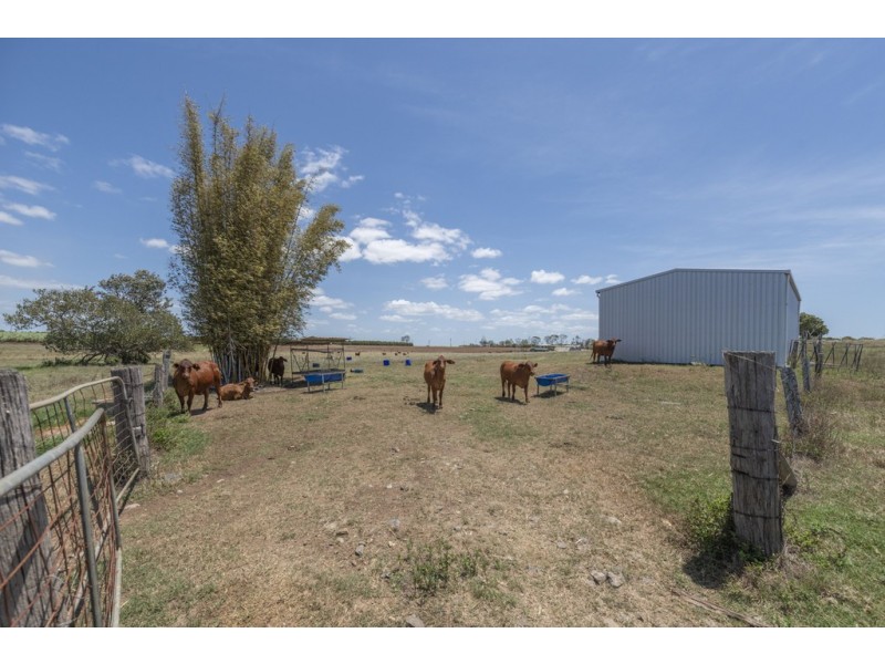 425 Three Chain Road, Calavos QLD 4670