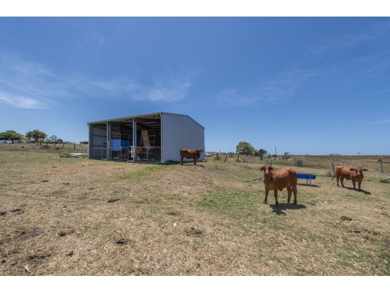 425 Three Chain Road, Calavos QLD 4670