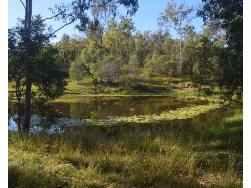 Lot 2 Tenningering Road, Good Night QLD 4671