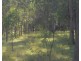 Lot 2 Tenningering Road, Good Night QLD 4671