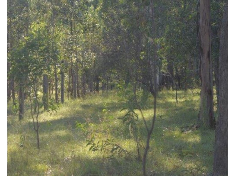 Lot 2 Tenningering Road, Good Night QLD 4671