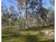 Lot 2 Tenningering Road, Good Night QLD 4671