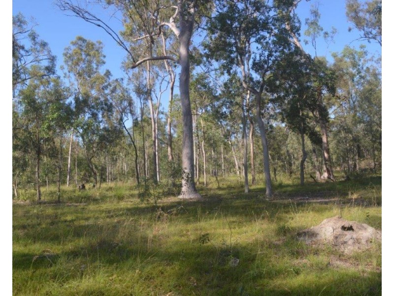 Lot 2 Tenningering Road, Good Night QLD 4671
