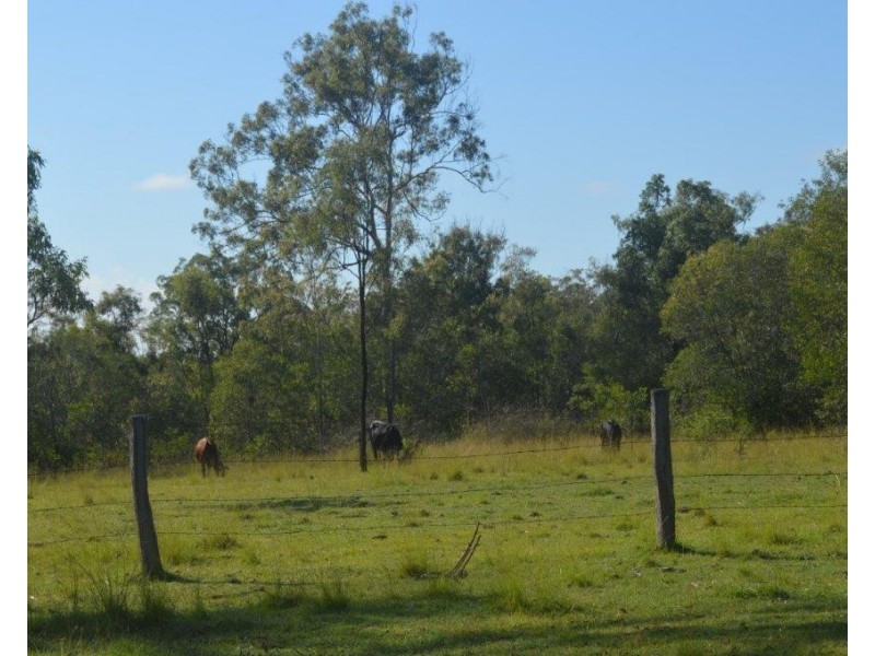 Lot 2 Tenningering Road, Good Night QLD 4671