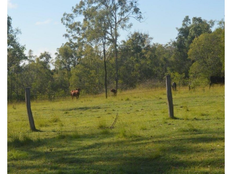 Lot 2 Tenningering Road, Good Night QLD 4671