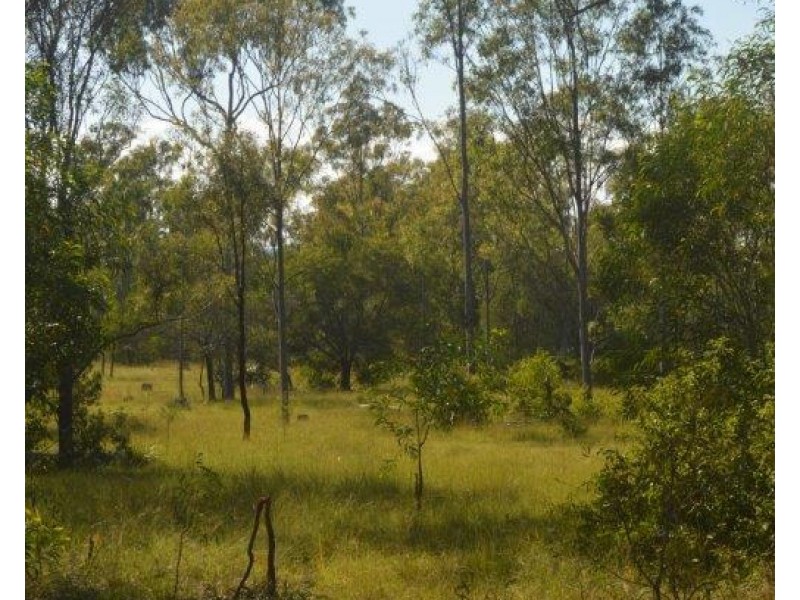 Lot 2 Tenningering Road, Good Night QLD 4671