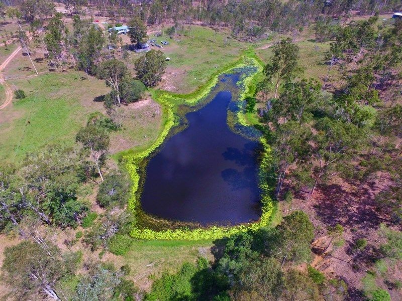 111 Rangeview Road, Gin Gin QLD 4671