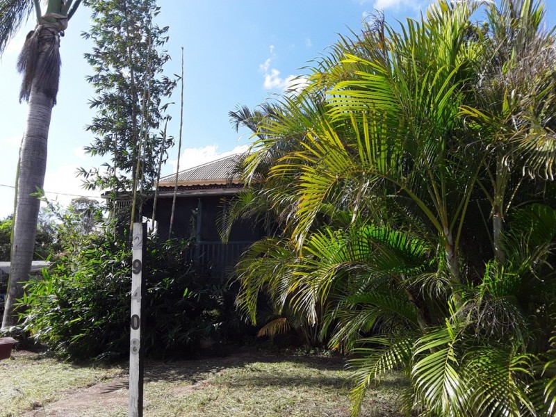 29408 Bruce Highway, Apple Tree Creek QLD 4660
