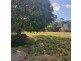 29408 Bruce Highway, Apple Tree Creek QLD 4660