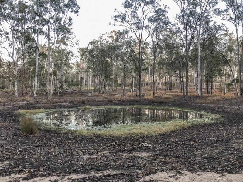 10 Waratah Court, Bucca QLD 4670