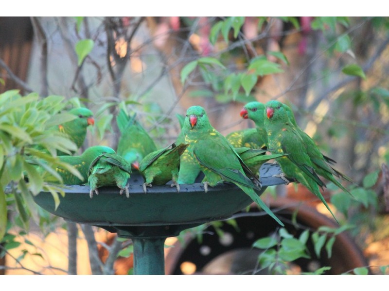 267 Duckpond Road, Moolboolaman QLD 4671