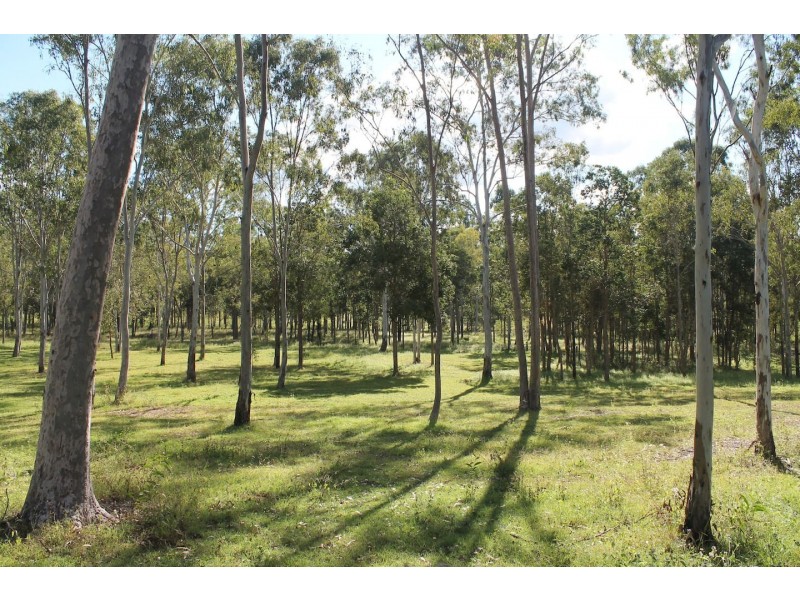 267 Duckpond Road, Moolboolaman QLD 4671