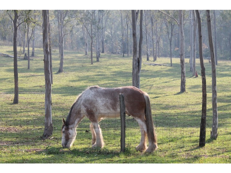 267 Duckpond Road, Moolboolaman QLD 4671